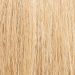 sandyblonde rooted