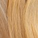 Light-Blond (23A/25R)